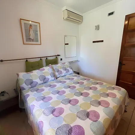 Descubre El Perfecto Tus Vacaciones * San Bartolomé