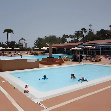 Descubre El Perfecto Tus Vacaciones *