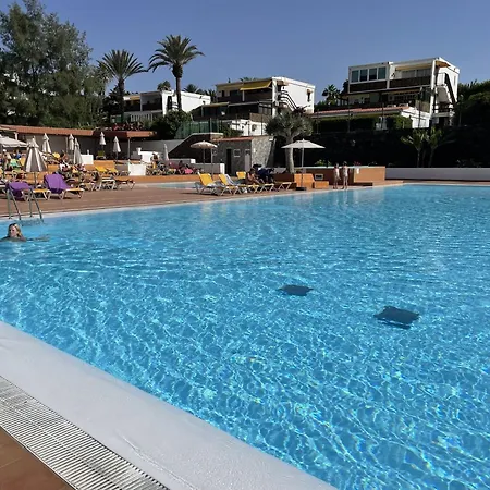 Descubre El Perfecto Tus Vacaciones *